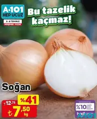 SOĞAN KG SOĞAN KG